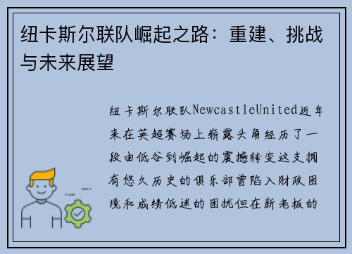 纽卡斯尔联队崛起之路：重建、挑战与未来展望