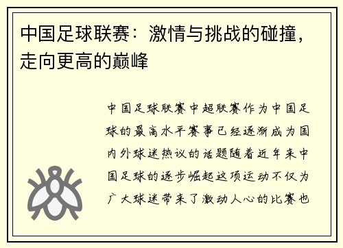 中国足球联赛：激情与挑战的碰撞，走向更高的巅峰